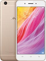 Y55